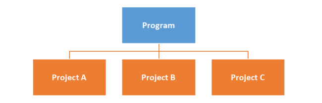 Program vs Project Manager - What Are the Differences